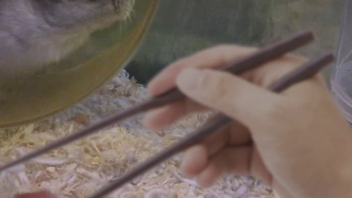 「右手を箸の右下に沿え」って?