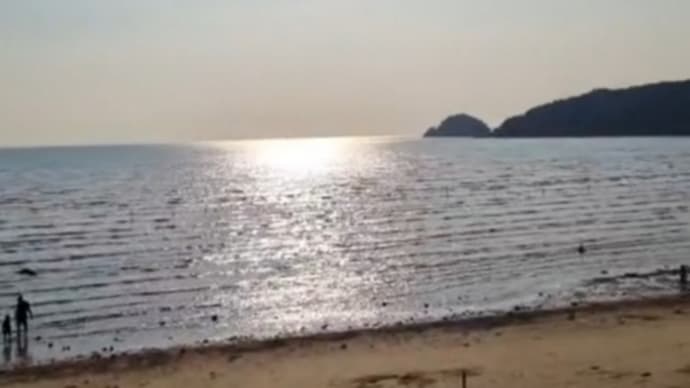 9/24 ソル&ロイロイのインスタ写真は~(動画あり)