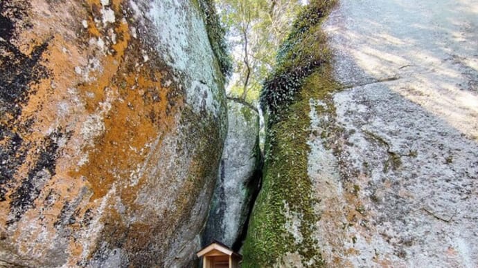 実忠が修二会の行法を会得した笠置寺/毎日新聞「やまと百寺参り」第86回
