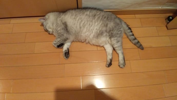 なんかようかい