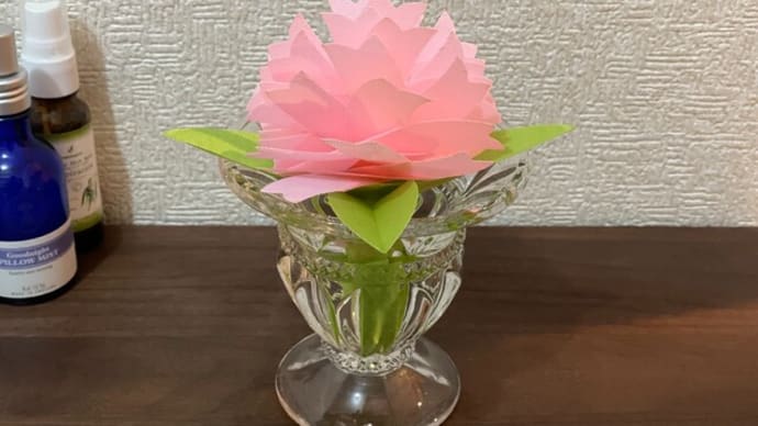 乾燥対策と最近のお花