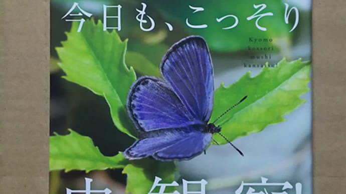 届いた本