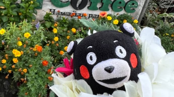 ❤️8/28❤️① いちばん近いハワイの食卓コナズ珈琲最高ピヨ❤️