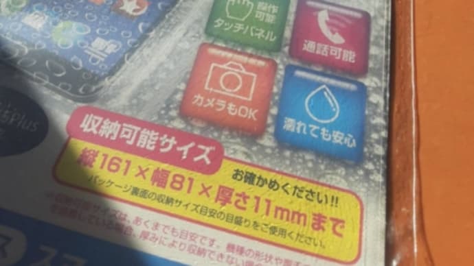 今年の抱負~誕生日版~