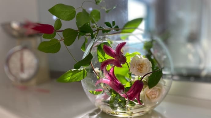 家の中にも花を。。。クレマチス