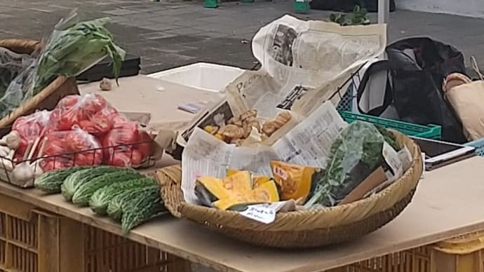 「円山公園マルシェ」で買い物(その3)とテイクアウト・ランチ