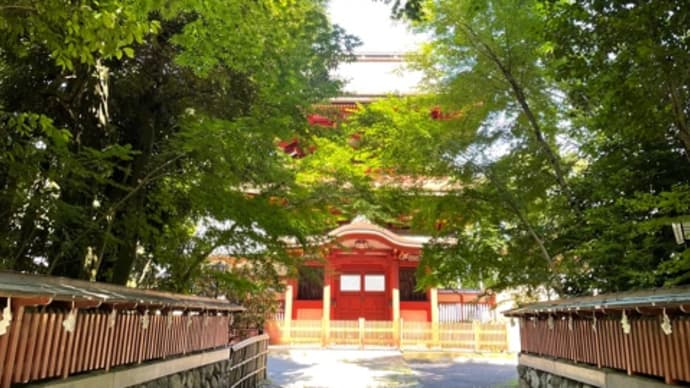 晴れました。