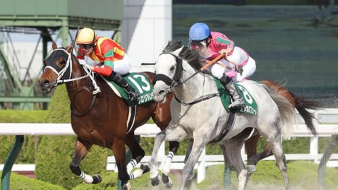 競馬好きな方と オジュウチョウサン号、オメガパフューム号☆彡