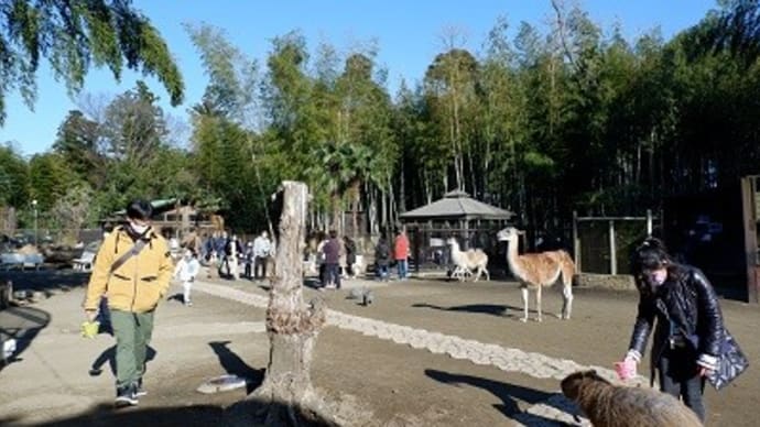 動物天国、再訪!!【千葉県・サユリワールド】