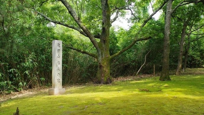 汗だくだくの龍田古道