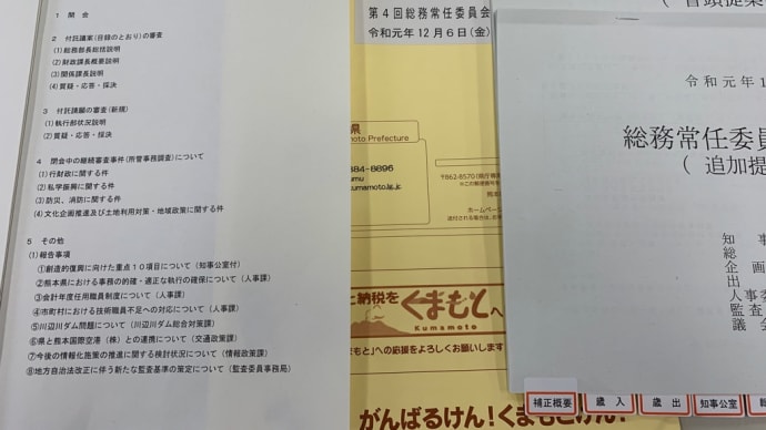 常任委員会