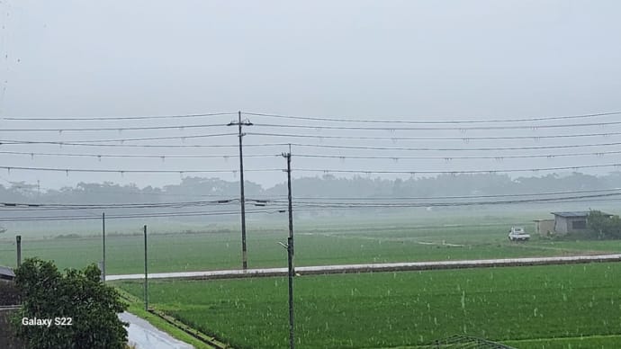 今日は眠たい眠たい苦手な低気圧