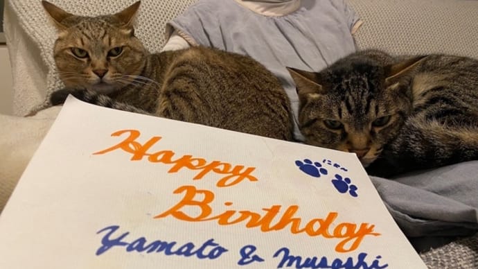 推定7歳のお誕生日