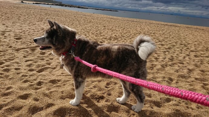 浜辺でおやつタイム