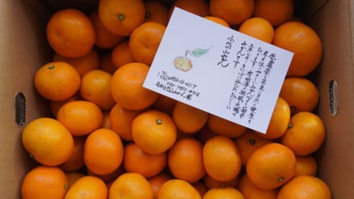 流行語大賞と郷里のみかん