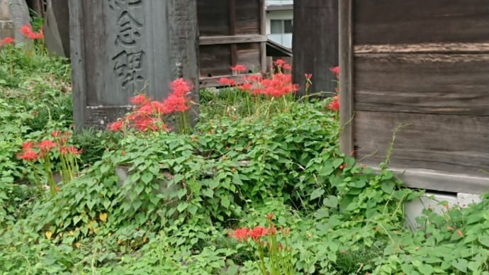 秋…待ち遠しい再会と再開