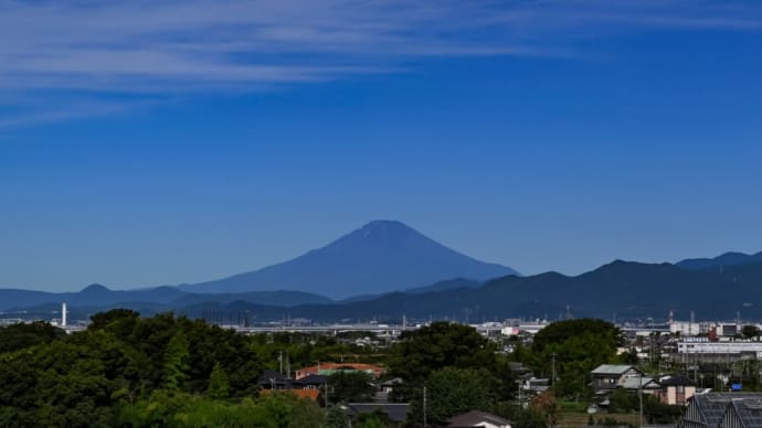 02/Jul   夏山の富士山とグラジオラスとガビチョウと相思鳥
