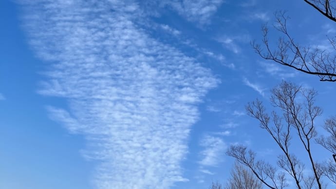 雲と枝