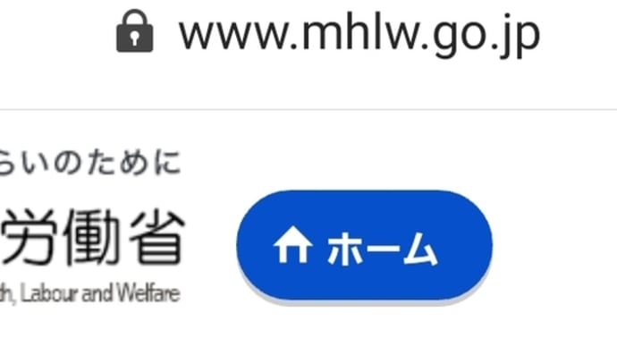 お国のマスクについて