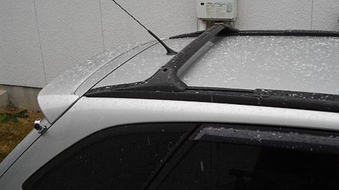 4エリア朝の雪