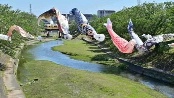 強風のこいのぼり