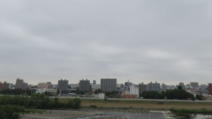 お休みでシタ