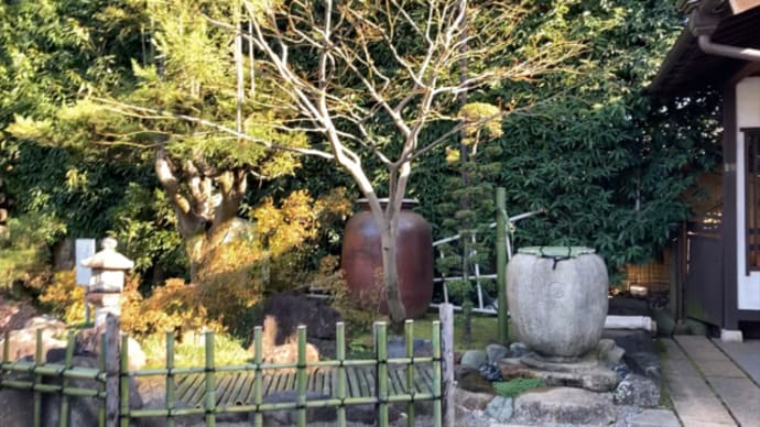 調布不動尊常性寺さんの鯉~