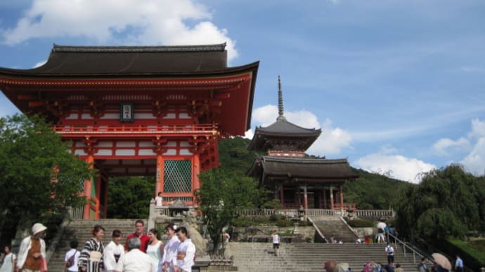 正月でもないのに地主神社で揉まれる