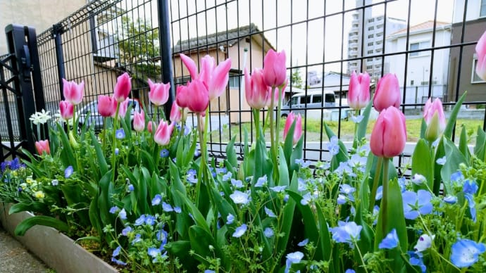 暴風に耐える花たち。