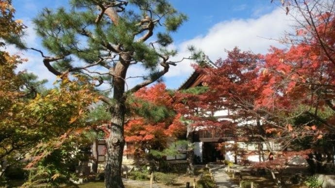 鹿王院3 方丈と庭園