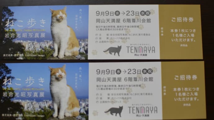 ご招待券♪