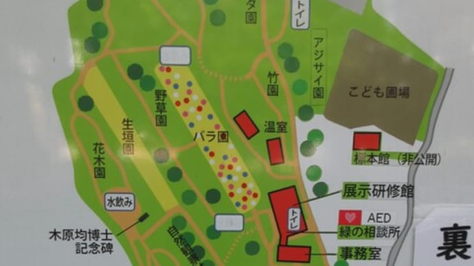 横浜市こども植物園