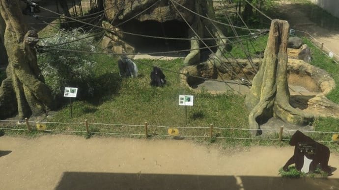 王子動物園から、夙川まで(その2)