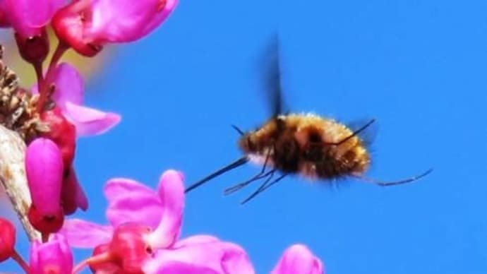 鈴の宮公園・続き