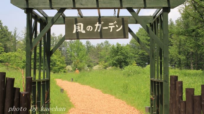 富良野 風のガーデンへ
