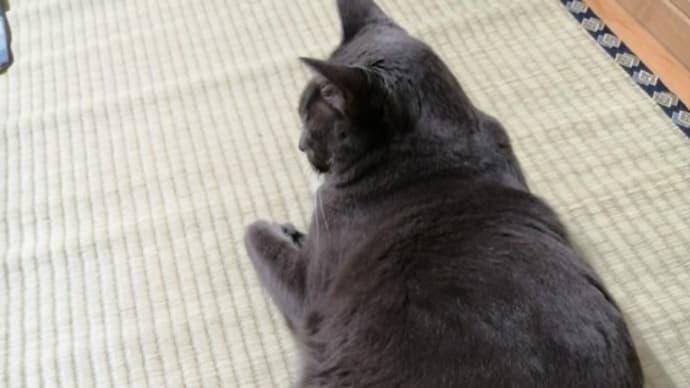 50代になってまさかのダンナ単身赴任