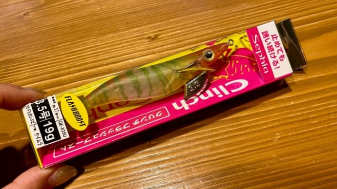 釣れそうな気がするー🦑