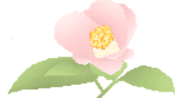 もしかして…