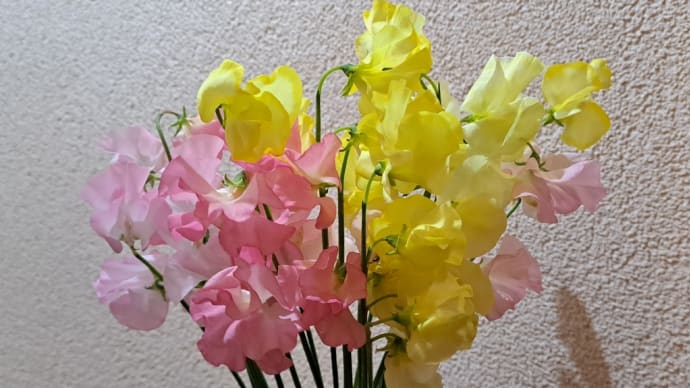 2日間で1キロ増えたので、買い食いセーブします。