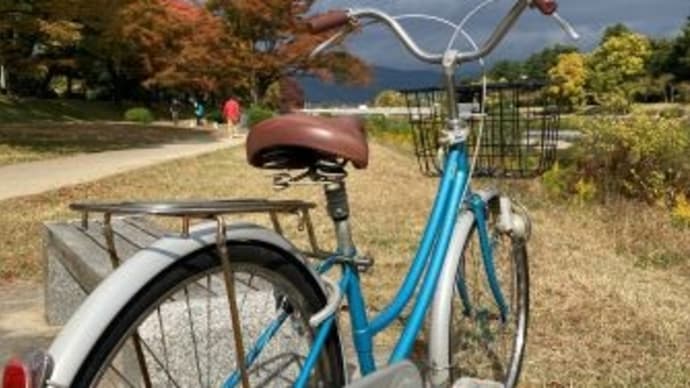 秋の京都2022~1日目~