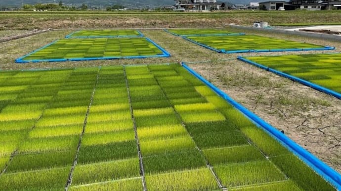 春の作業日程の確認