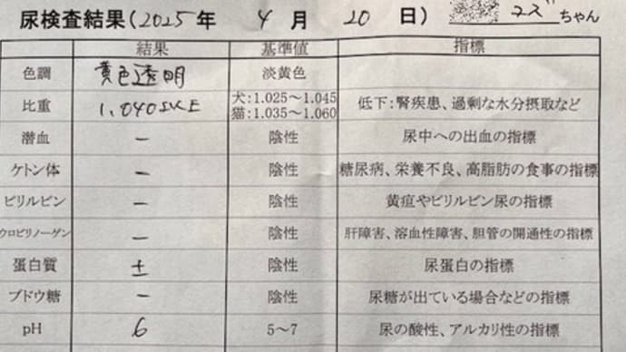 4月20日 夏の家族旅行
