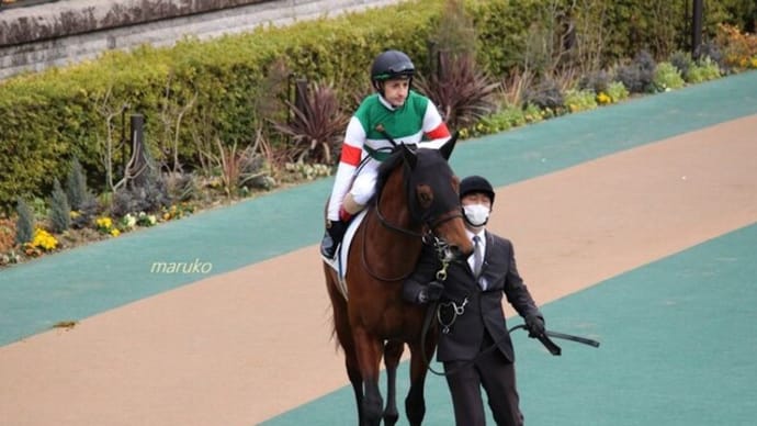 がんばれ!初勝利3