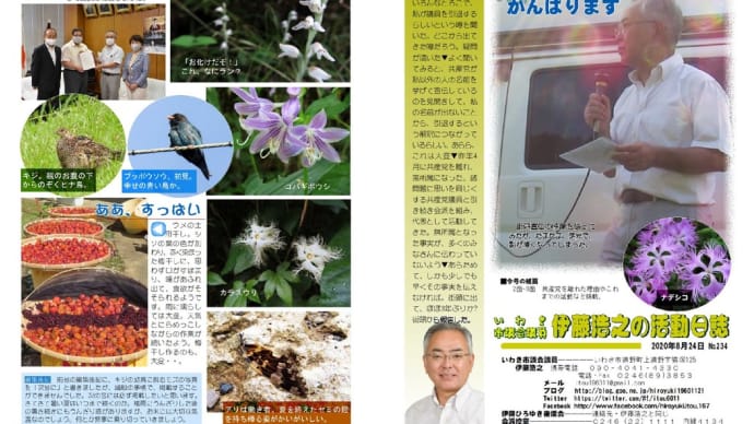 活動日誌No.234は、無所属でこれからもがんばりますがテーマ