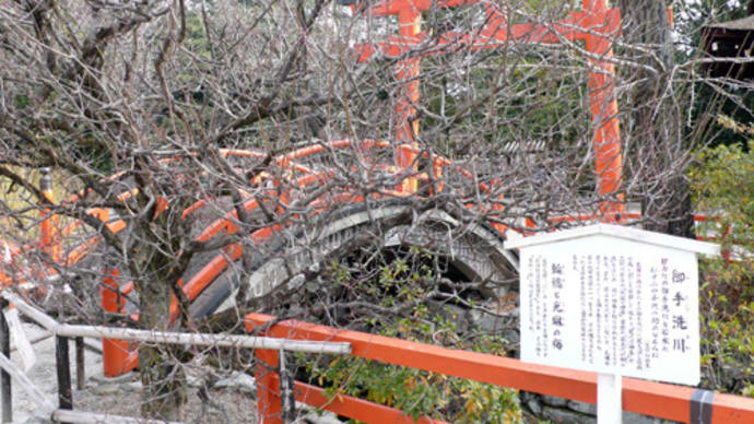■2011京都。