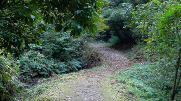 讃岐遍路道「根香寺道」【香川県坂出市】