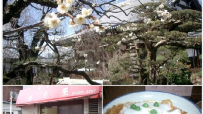 日本一のカツ丼で 災害に・・勝ァツ 🌊