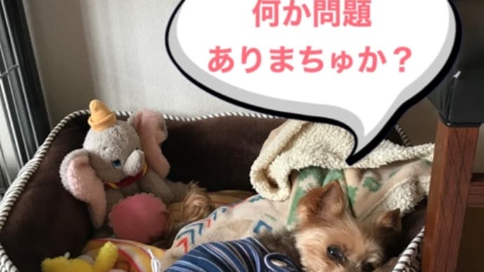 元気です❣️