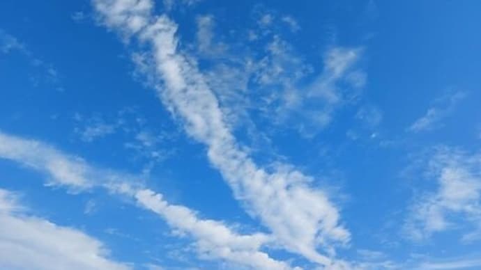 短い秋に何を想う