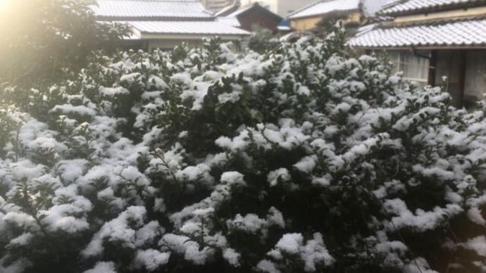 雪しまく